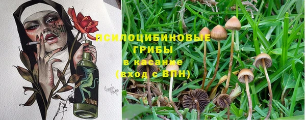 герыч Касимов