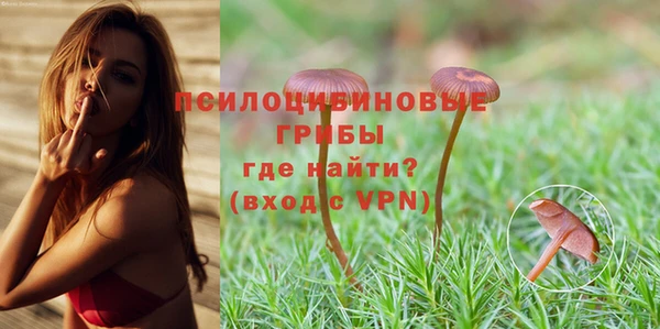 спайс Карталы