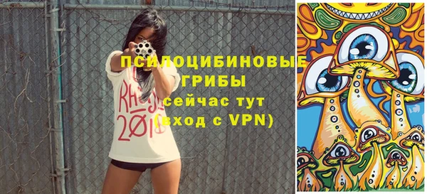 Альфа ПВП Карпинск